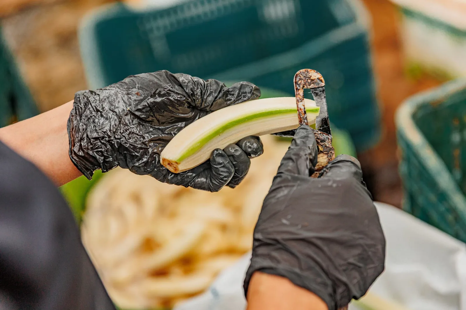 Gepelde bananen klaar voor de productie