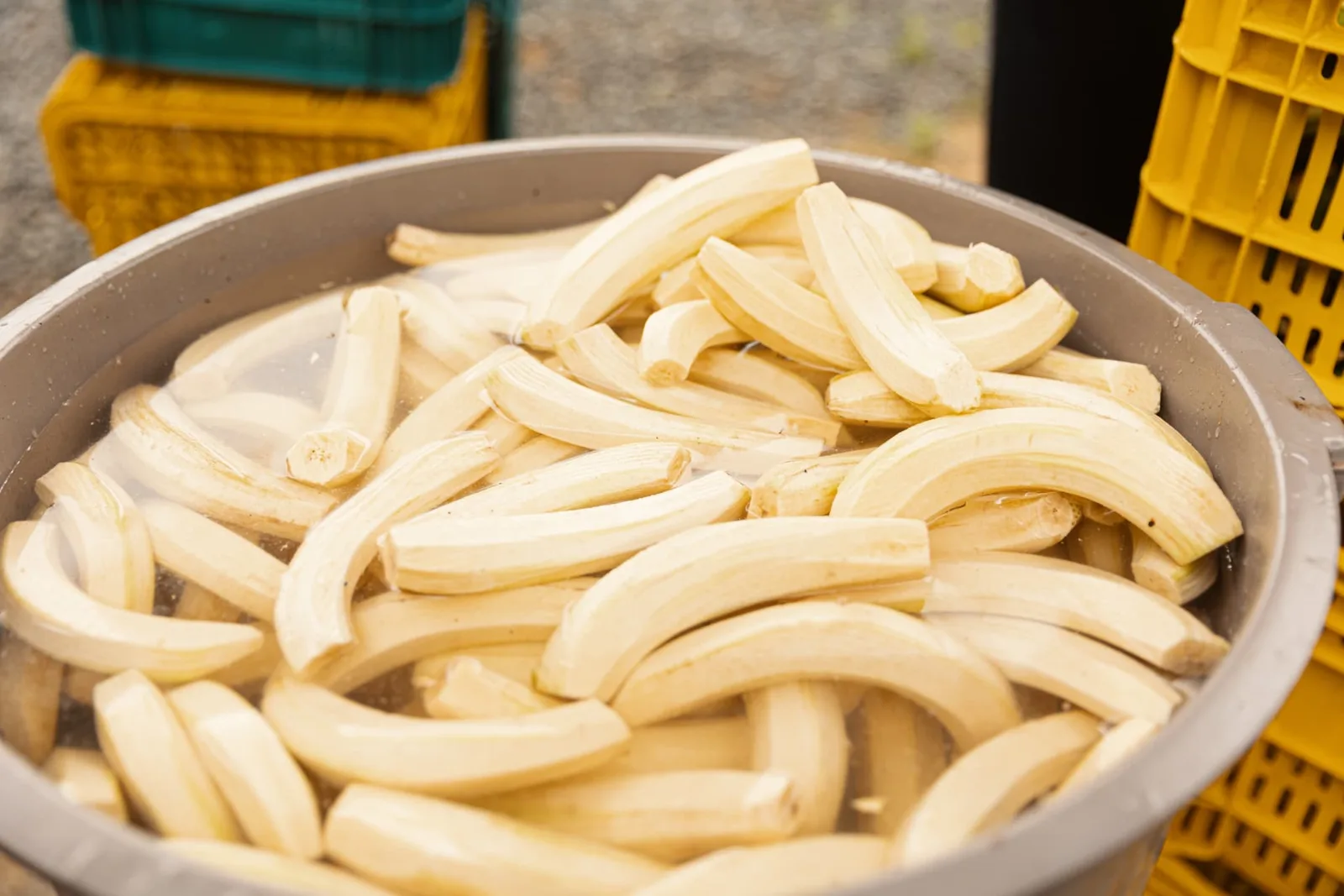Gepelde bananen klaar voor de productie